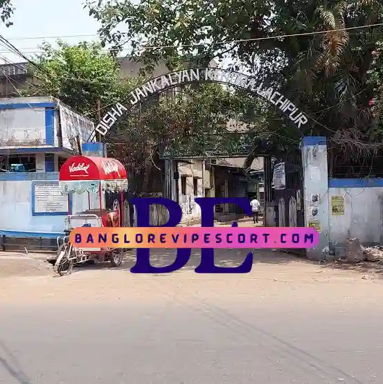 Top 6 Famous Red Light Areas in India