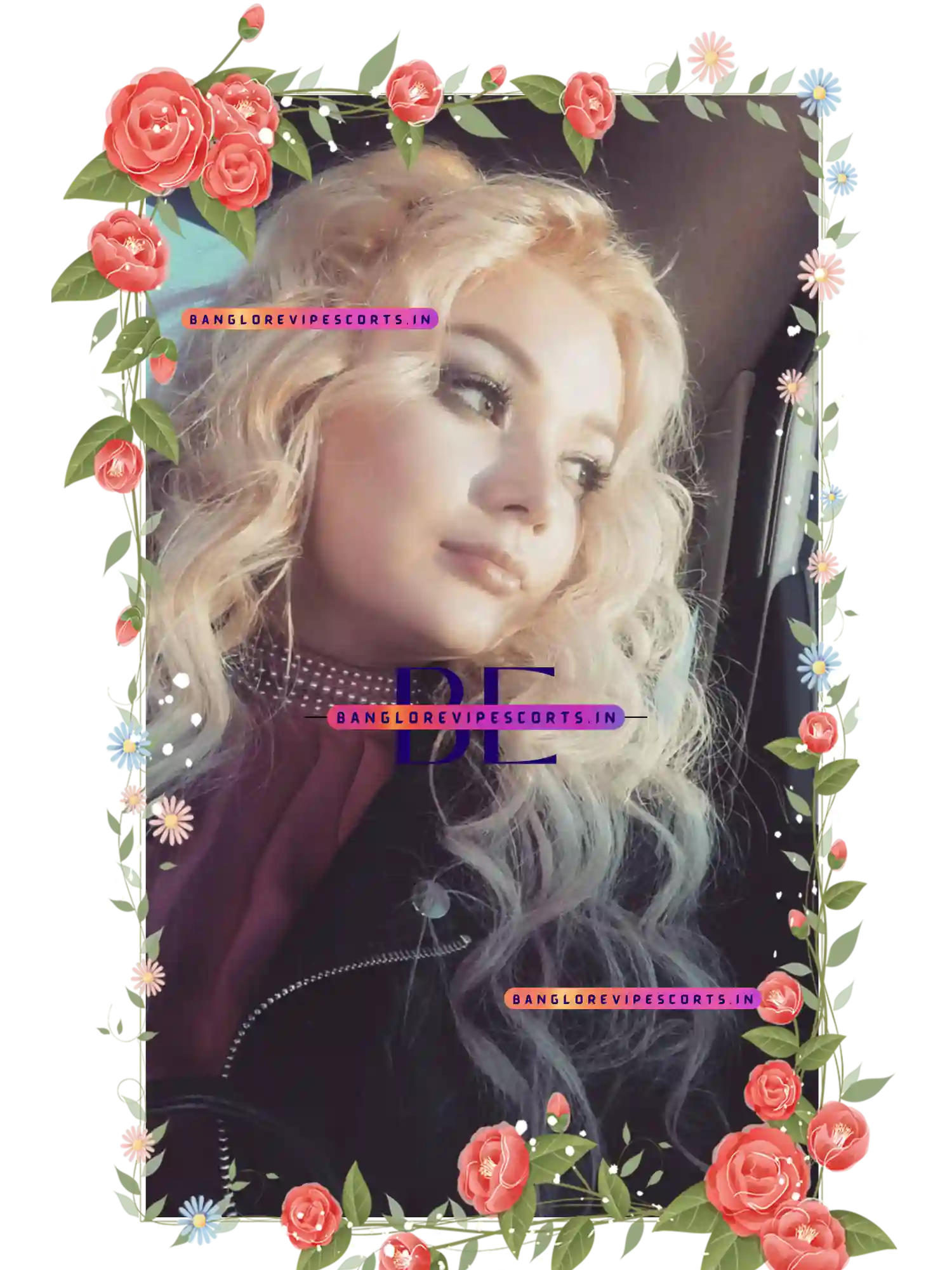 Pictures of a Working lady