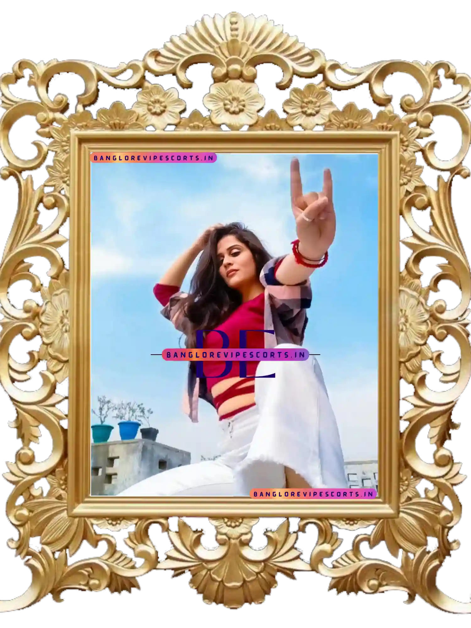 The Rizz-Carlton Hotel