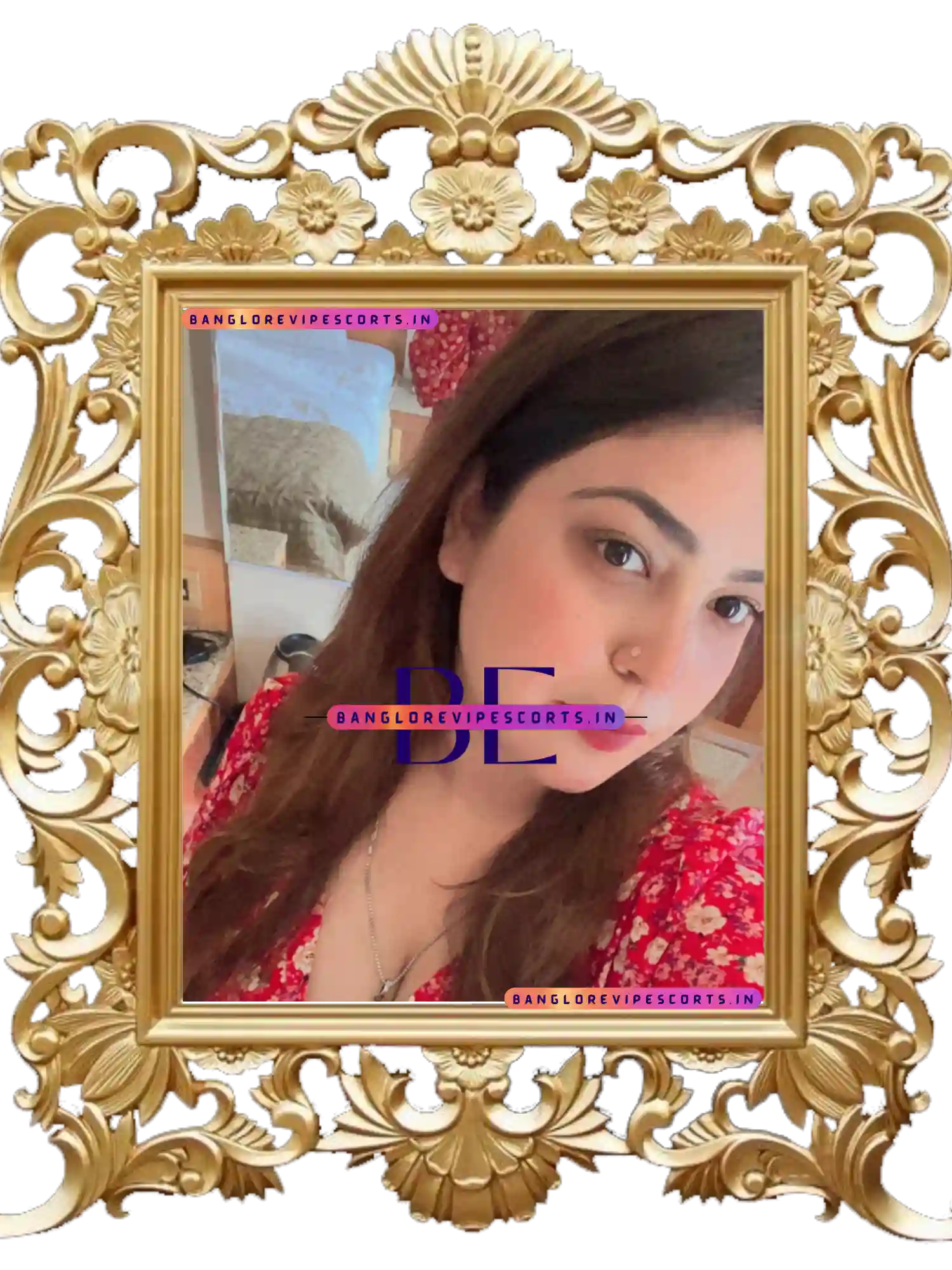 Electronic City Call Girls