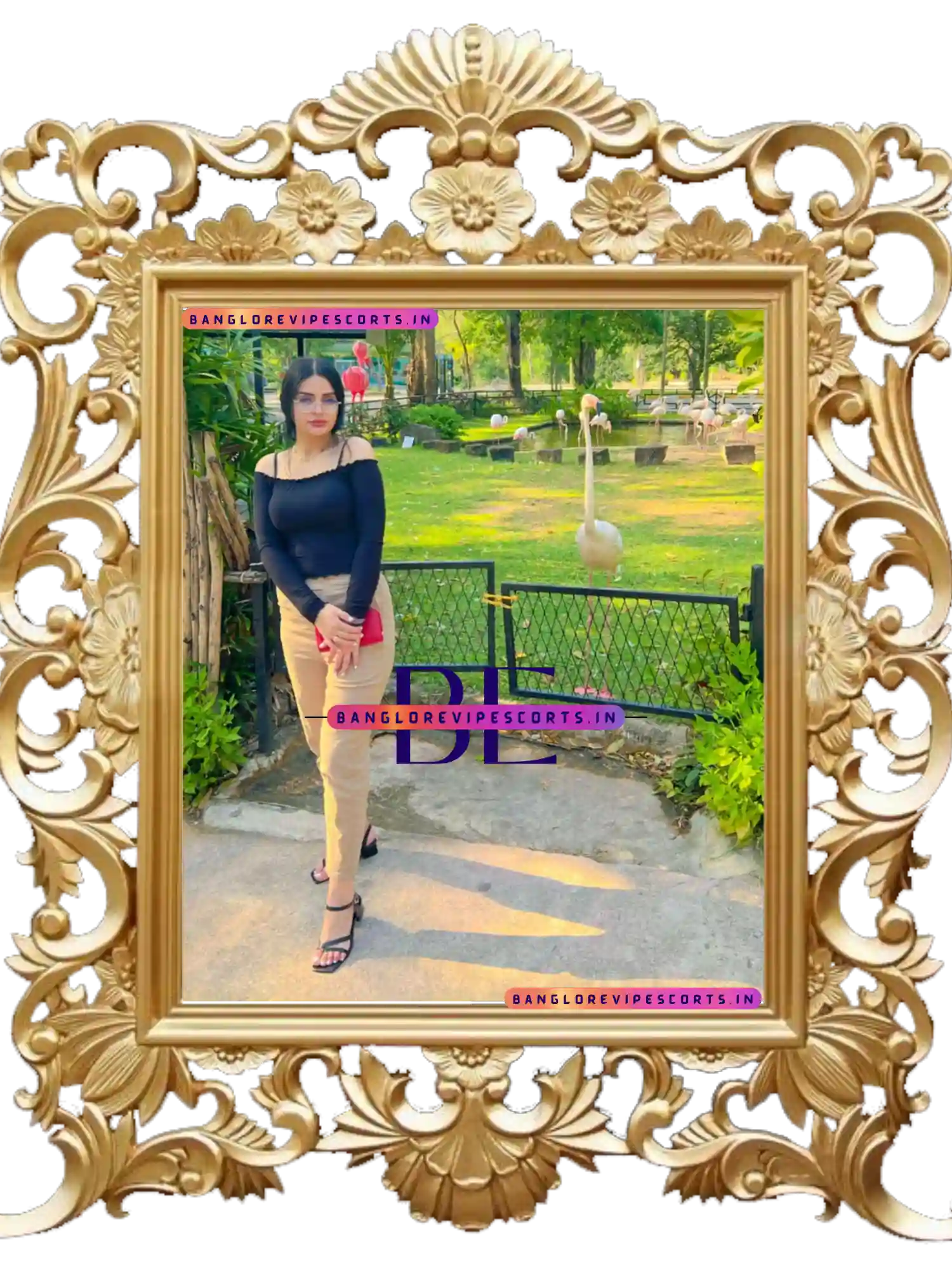 Indiranagar Escorts Service