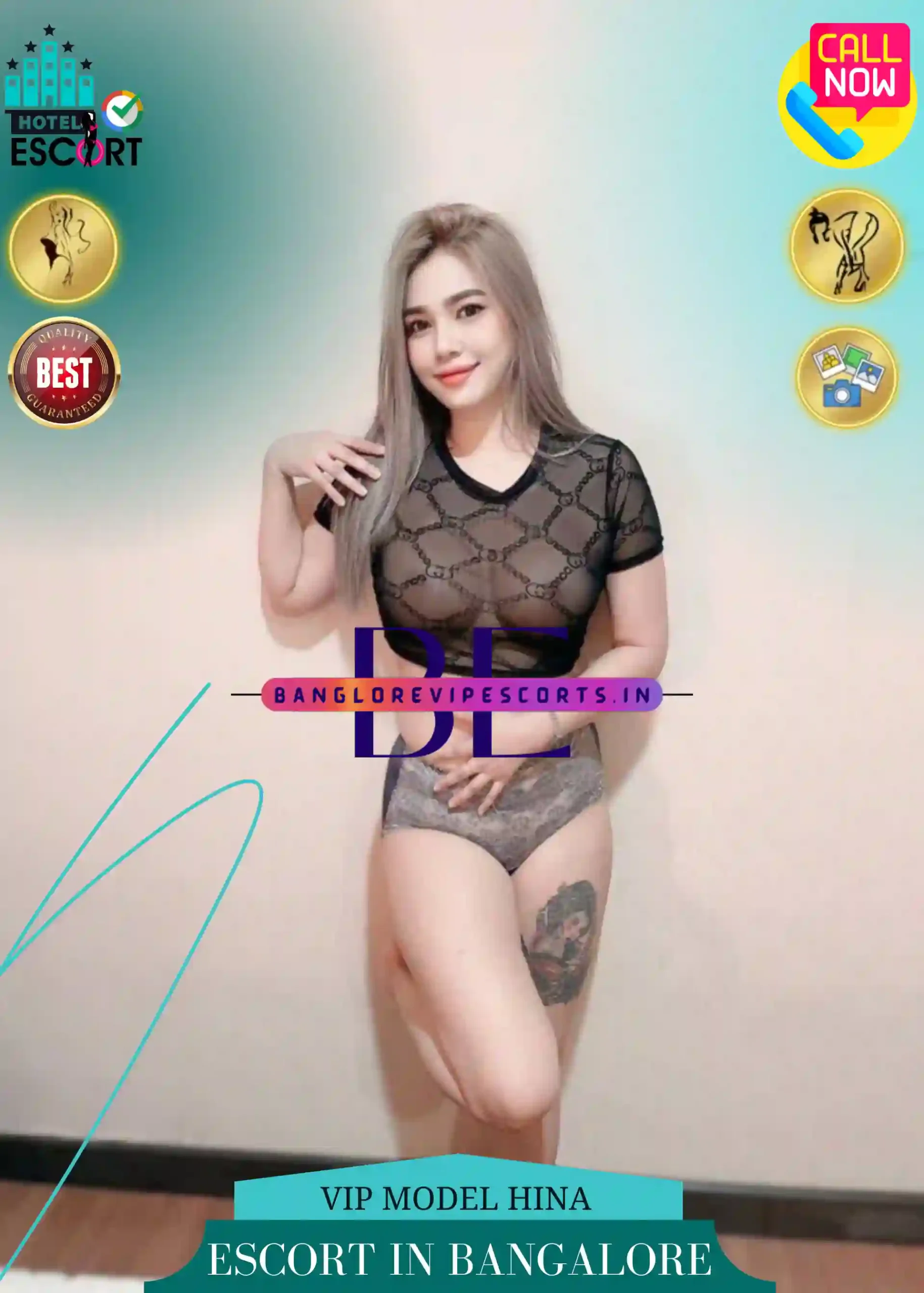 VIP Model Hina Escort profile